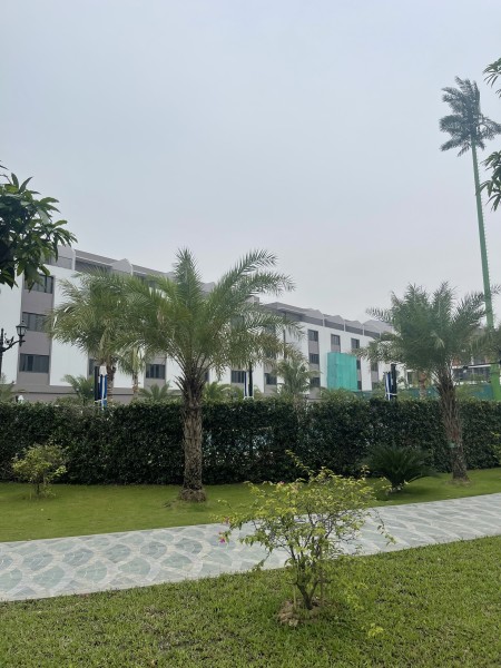 Shophouse Phố Biển 19 Vinhomes Ocean Park3 - 90m2, mặt sau view công viên, sở hữu lâu dài