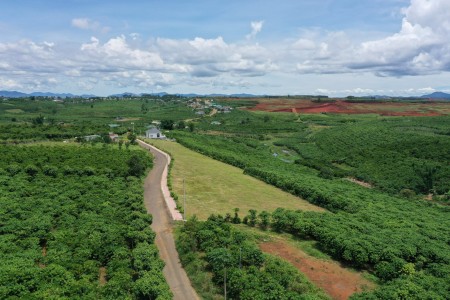 Đi đến slide 8