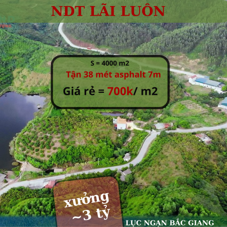 Mặt đường rộng & giá vài trăm nghìn 1 mét vuông Lục Ngạn - Bắc Giang