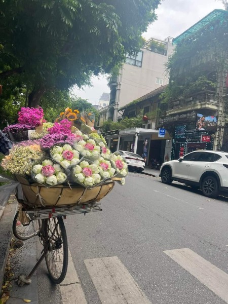 Lê Dương