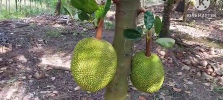 Đi đến slide 9