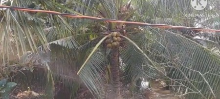 Đi đến slide 11