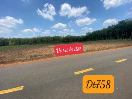 Bán 1 Lô Thổ Cư Duy Nhất Măt Tiền Nhựa Tĩnh Lộ Hơn 300m2 Sổ Hồng Riêng, Gần Tiện Ích, Giá 480 Triệu