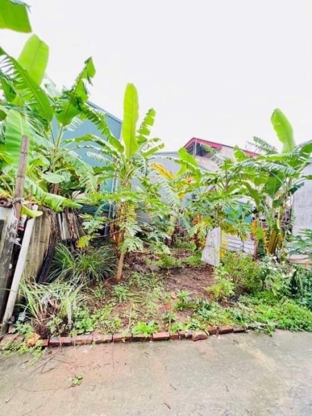 Cần bán nhà Vạn Phúc, 65m2 mặt tiền 8m giá 2,5 ty