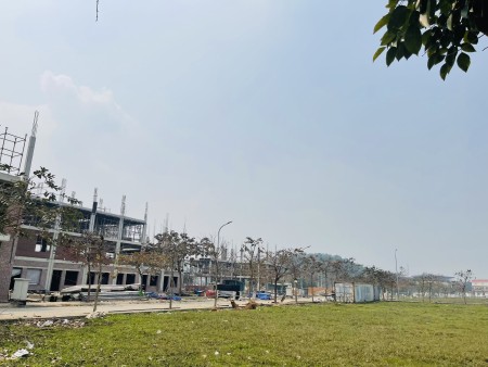 Đi đến slide 12