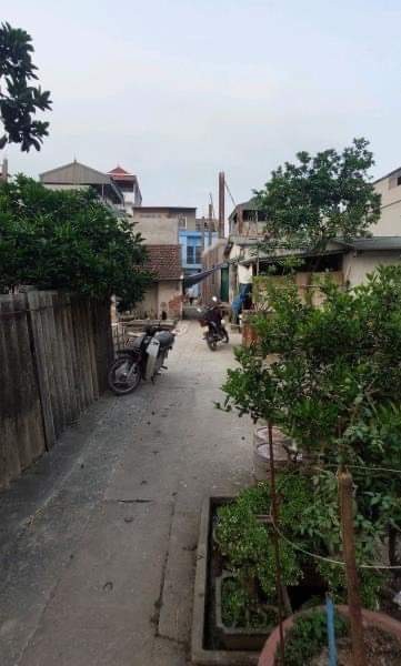 Hiếm có Đất Thôn Đại Áng, Thanh Trì, Hà Nội, 69.2m2, 1tỷ845