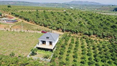 Bán gấp thu hồi vốn, giảm ngay 500 triệu, chỉ còn 750 triệu/ nền gần ngay nhà thờ Lâm Phát