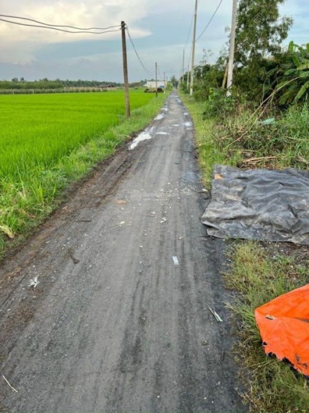 Bán đất 10x30m nhánh đường Chợ Chiều, Đức Hòa Đông, Đức Hòa, Long An giá 2.5 tỷ