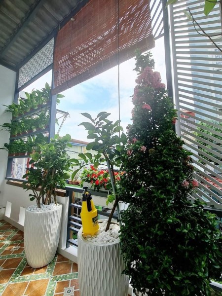 Đi đến slide 3
