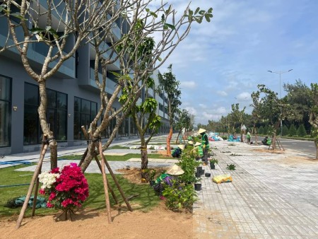 Đi đến slide 8