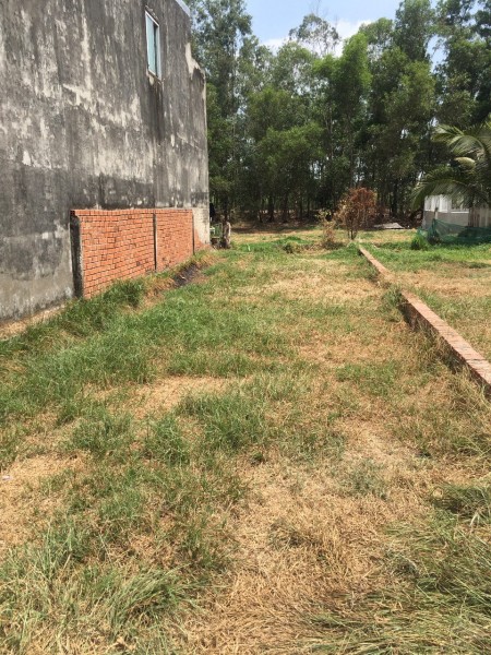 Kẹt tiền Bán lỗ 1 nền đất thổ cư 160m2 đường Nguyễn Đình Kiên, xã Tân Nhựt, huyện Bình Chánh