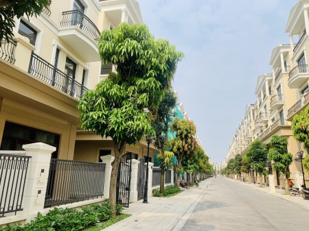 Bán nhanh căn BT Tứ Lập siêu đẹp ngay cạnh bể bơi Pha Lê - Phân khu Đảo Dừa - Vinhomes Ocean Park 2