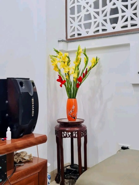 Đi đến slide 5