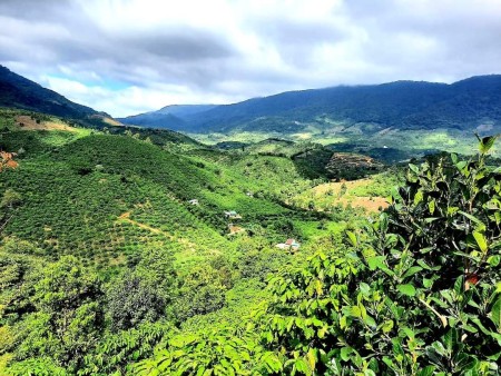 Đi đến slide 4