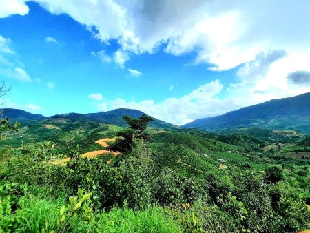 Đi đến slide 8