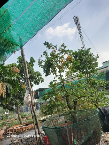 Đi đến slide 4