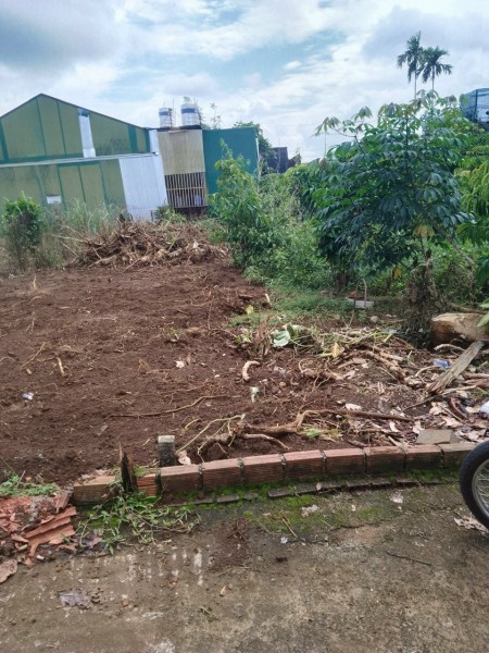 Bán lô đất hẻm thuộc hẻm 23 Trần Quý Cáp - Bảo Lộc