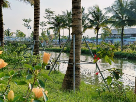 Đi đến slide 2