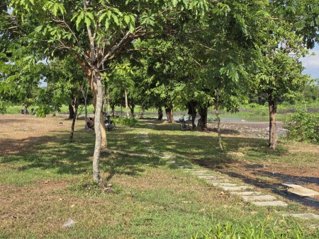 Đất thành phố Biên Hòa giá chỉ từ 1,4 tỷ full thổ