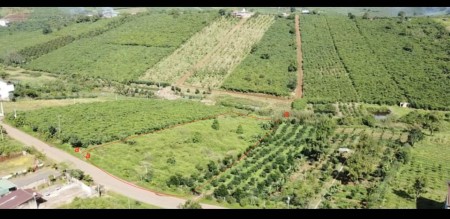 Đi đến slide 7