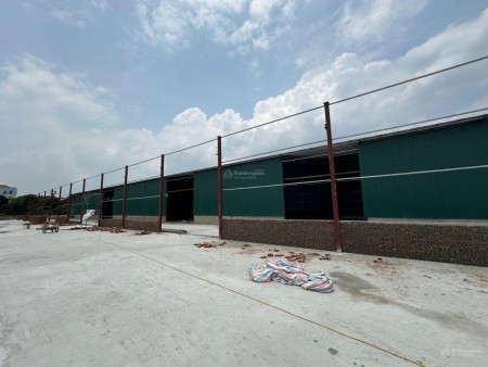 Cho thuê kho giá rẻ 500 - 5000m² KCN Lại Yên, An Khánh, Hoài Đức, Đại Lộ Thăng Long