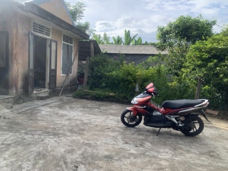 Cần bán đất Phò Nam, Quảng Thọ, Huyện Quảng Điền, Huế