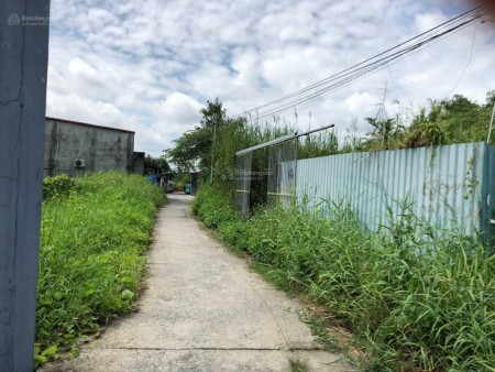 Bán đất trồng cây lâu năm: Đường Tổ 12, Ấp 4, Xã Đa Phước, huyện Bình Chánh. DT: 1.350m2