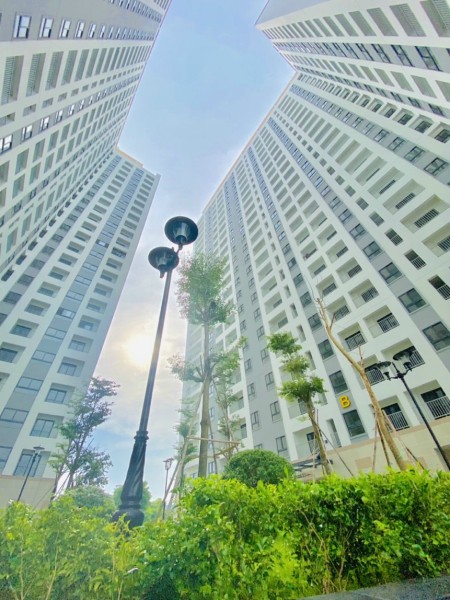 Đi đến slide 19