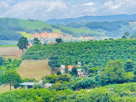 Đi đến slide 7
