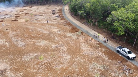 285tr/ 1000m2, Đang trồng sầu riêng, đối diện KCN Minh Hưng 2