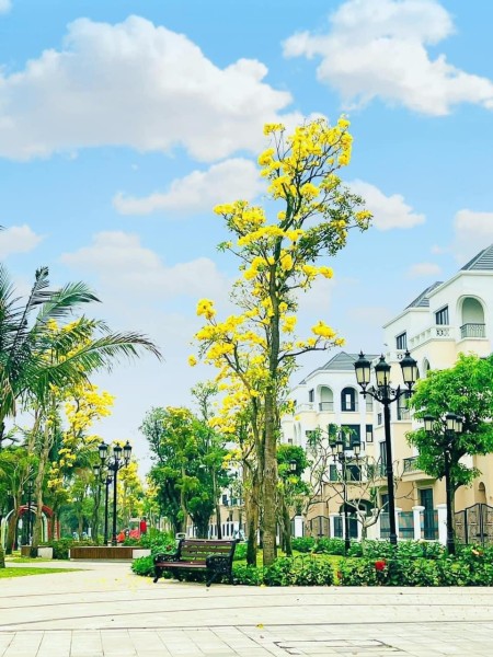 Đi đến slide 6