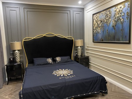 Bán nhanh biệt thự liền kề Sao Biển 90M2 giá 20 tỷ hoàn thiện cao cấp Vinhomes Ocean Park Gia Lâm HN