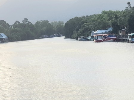Đi đến slide 15