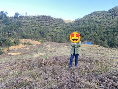 Bán đất bìa hồng tại thị xã Sa Pa