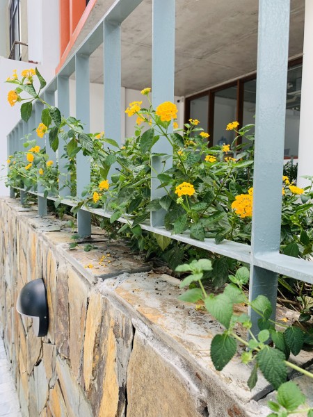Đi đến slide 6
