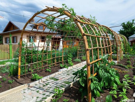 Đất vườn ven hồ - Tài chính nhỏ