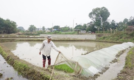 Cho thuê đất nông nghiệp 4000m2 Phong Phú Bình Chánh