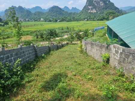 Cần bán nhanh 4056,2m2 đất thổ cư tại Kim Bôi, Hòa Bình