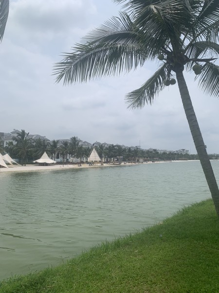 Biệt thự song lập Ngọc Trai 165,5m2 xây 88m2/sàn - 37 tỷ cạnh công viên Vinhomes Ocean Park Gia Lâm