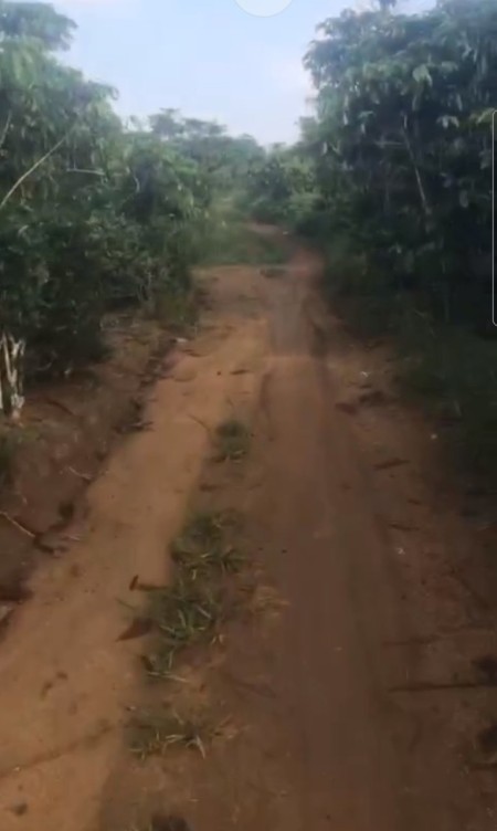 Đi đến slide 6