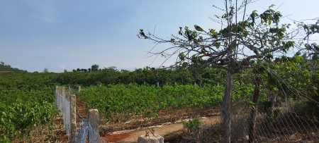 Đi đến slide 6