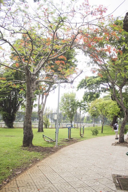 Đi đến slide 2