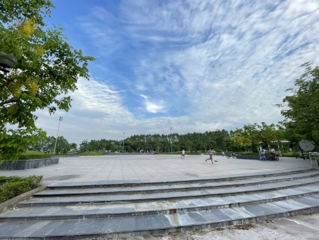 Đi đến slide 5