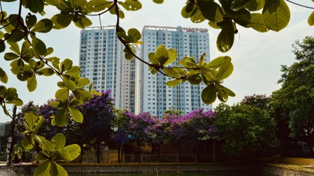 Đi đến slide 4