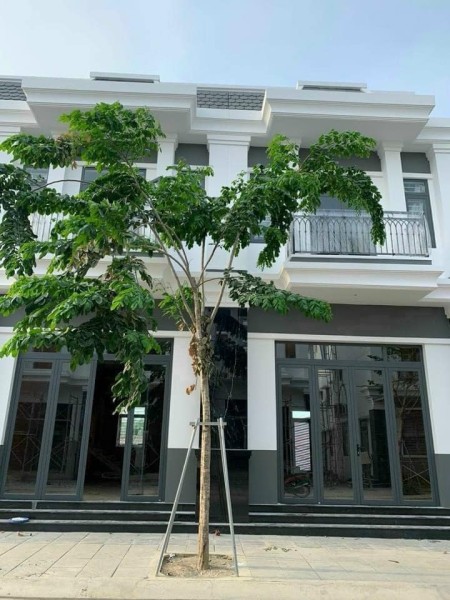 Đi đến slide 5