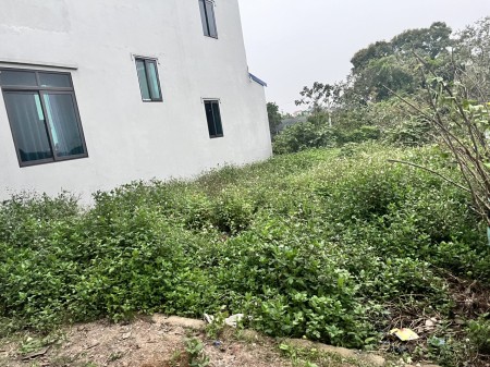Bán 127m full thổ cư tại xã Phụng Châu, Chương Mỹ (Nở hậu) - Chỉ hơn 20 triệu/m