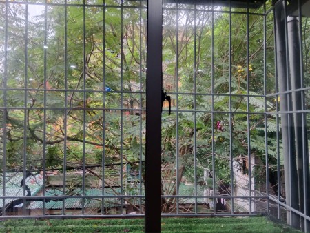 Đi đến slide 4