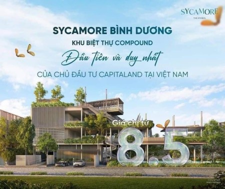 Bảng Giá Nhà Phố Liền Kề - Biệt Thự SyCamore Tháng 06/2024