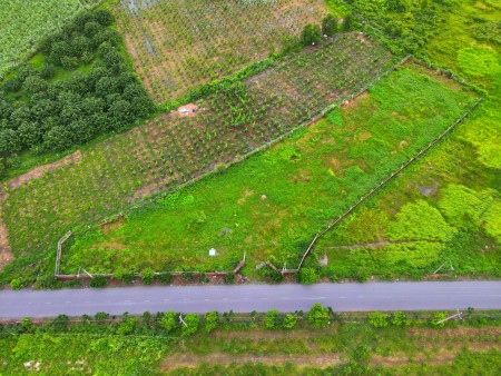 2818m2 mặt tiền Hương Lộ 6, có thể làm nhà vườn, phân lô, xây dựng xưởng cho thuê tạo dòng tiền kép