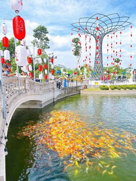 Đi đến slide 3